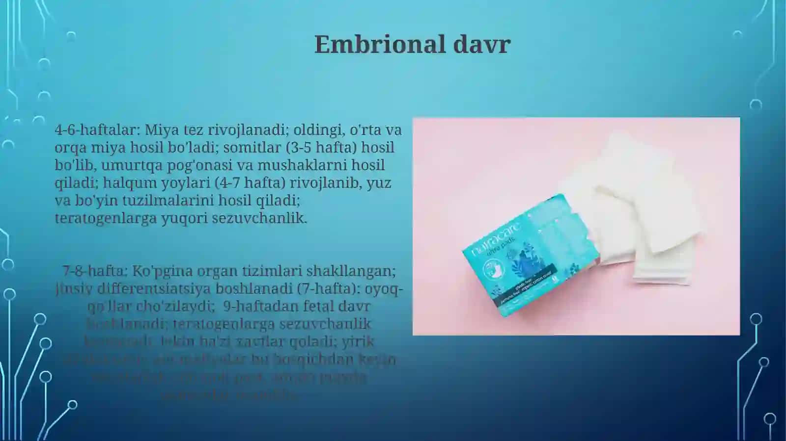 Inson embriologiyasidagi qaltis davrlar 3