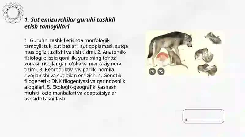 Sut emizuvchilar guruhi va vakillari 3