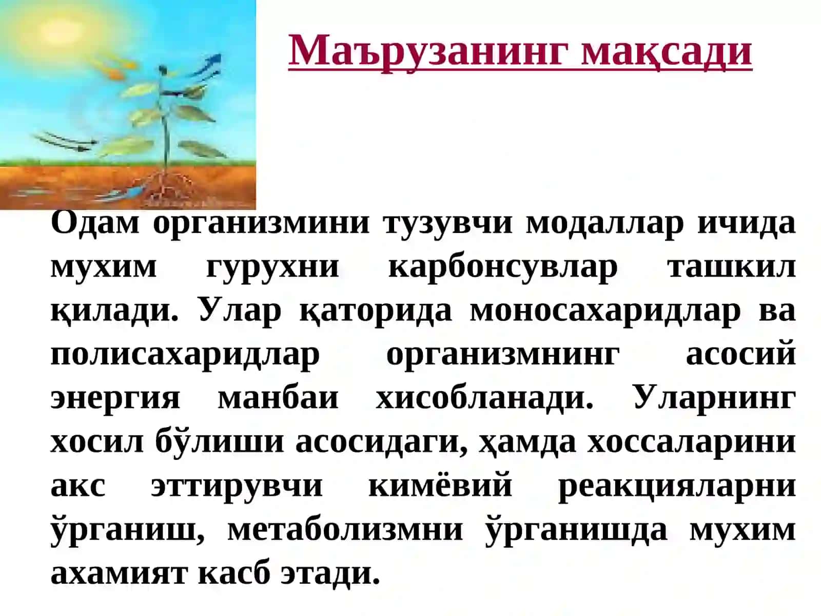 Карбонсувлар. Тузилиши, хоссалари ва функциялари 3
