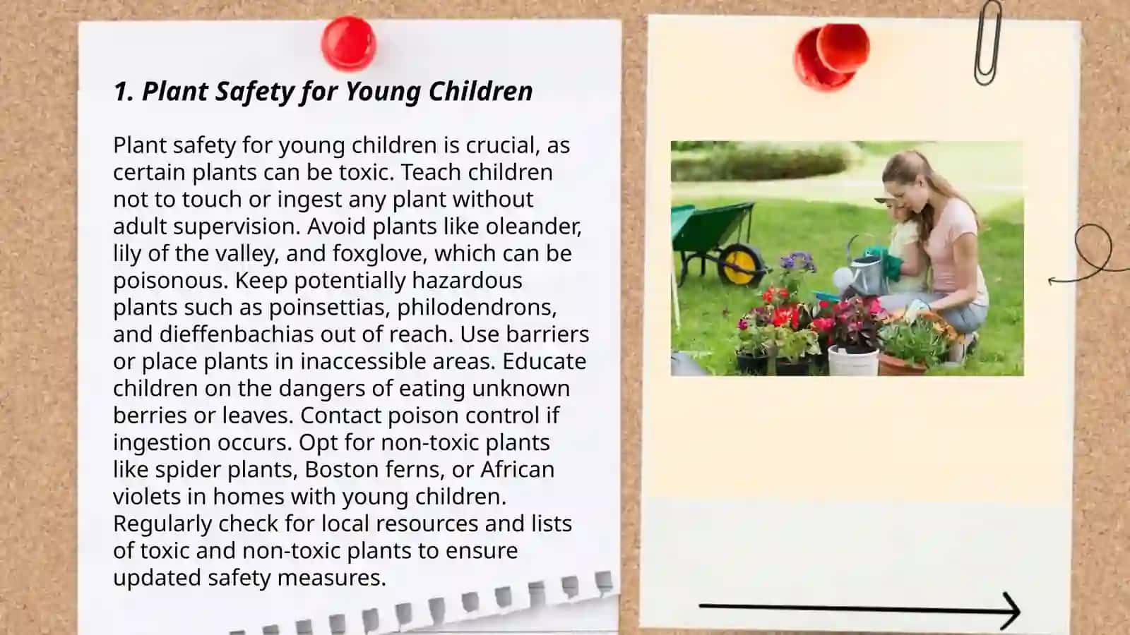 Garden Care: Take care of young children 3