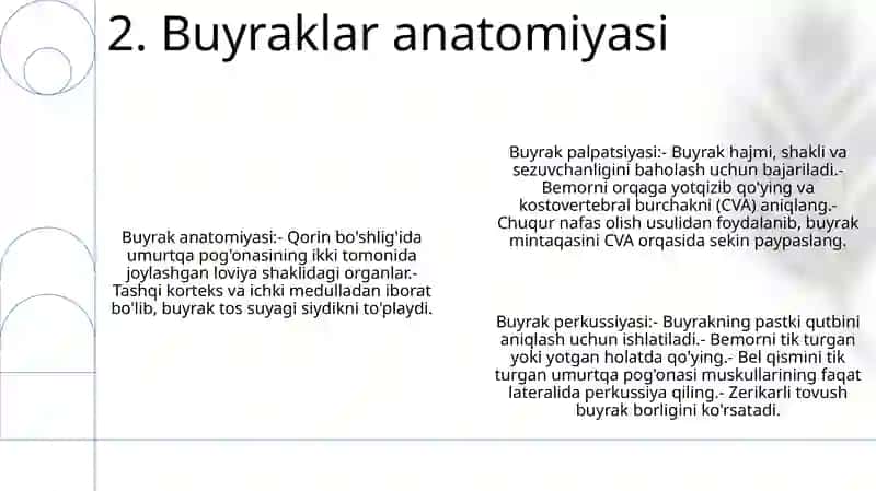 Buyrak Palpatsiyasi Va Perkussiyasi 3