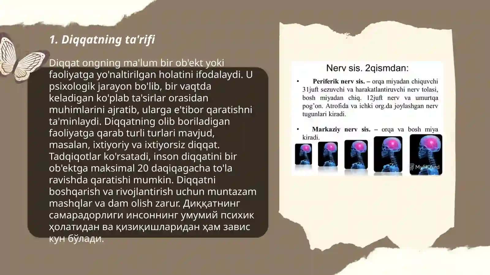 Diqqat haqida tushuncha va uning nerv fiziologik asoslari 3