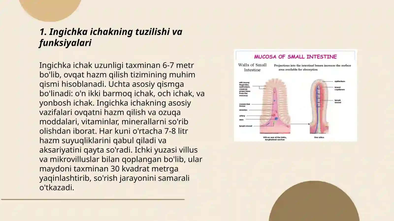Ingichka ichakda parchalanish mahsulotlari so'rilishning buzilishi 3