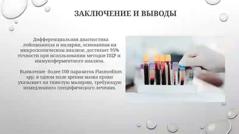 Лабораторная диагностика и характеристика (лейшманиоза, малярии) 3