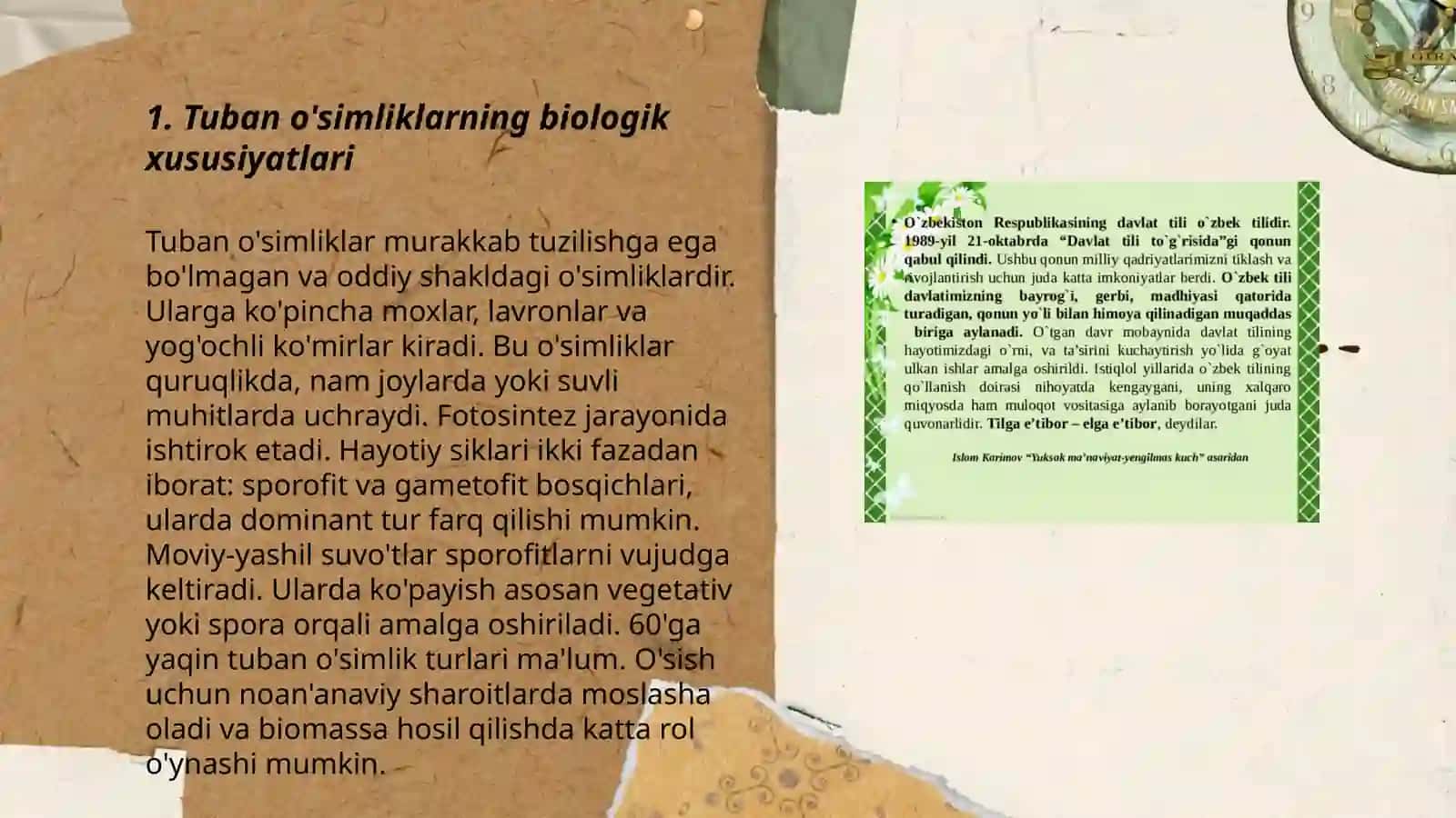 Tuban o'simliklar to'g'risida umumiy tushuncha 3