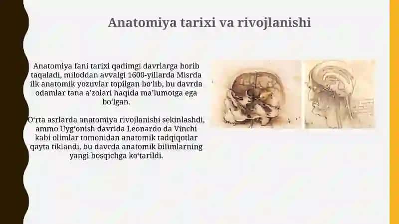 Anatomiya fanining tarixi, uni o'rganish uslublari 3