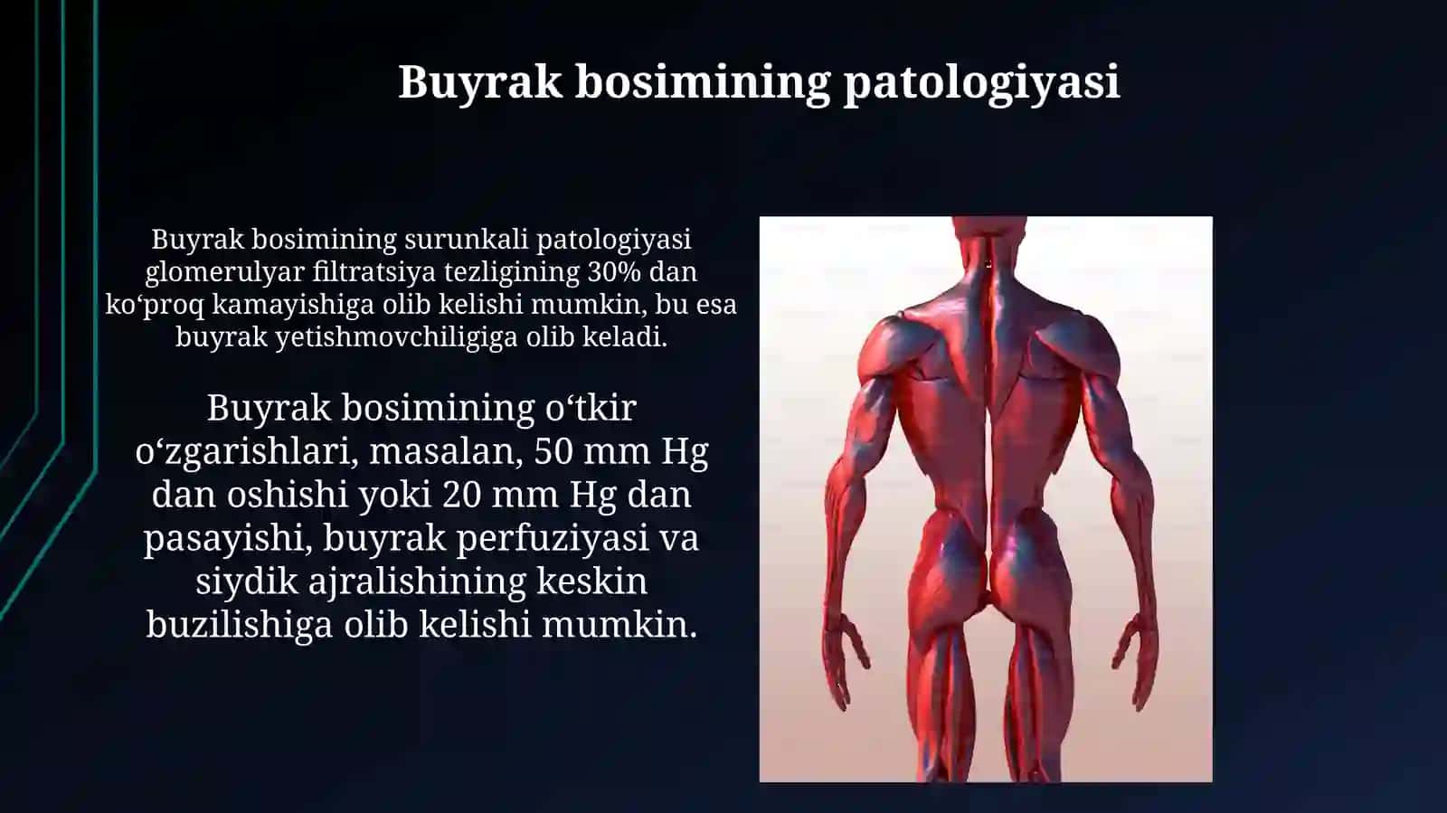 Buyraklar bosimi"fiziologiyasi 3