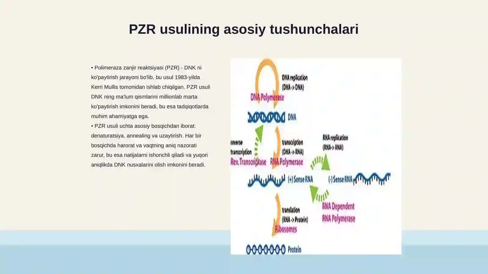 Molekulyar biologiya sohasida PZR usuli va uning fan rivojidagi yutuqlari 3