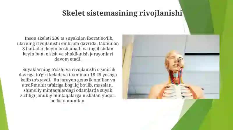 Anatomiya fanining kirish qizmi va tarixi 3