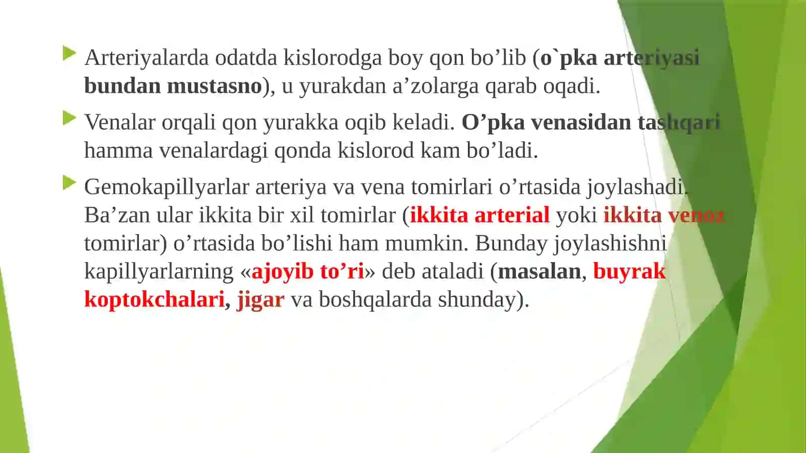 Qon tomirlar 3
