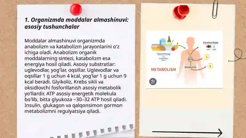 Organizmda moddalar almashinuvi fiziologiyasi 3