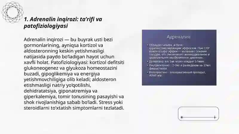 Adrenalin inqirozi 3