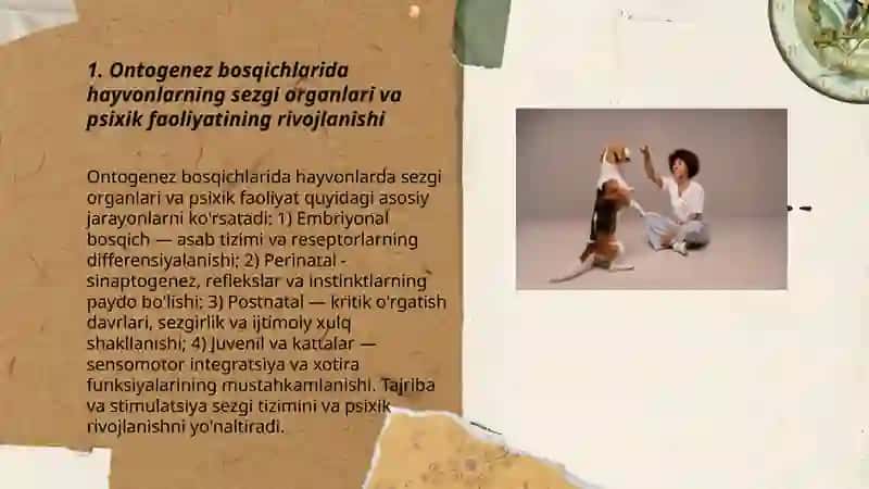 Hayvonlarning psoxok faoliyatini ontogrnrzda rivojlanishi 3