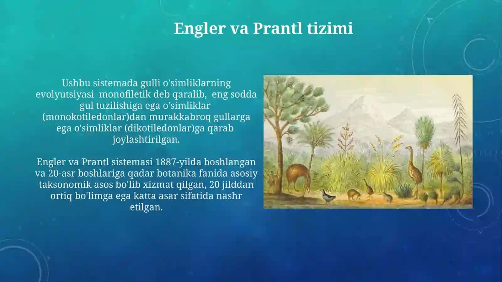 Yuksak osimliklarning taksonomik tarixi 3