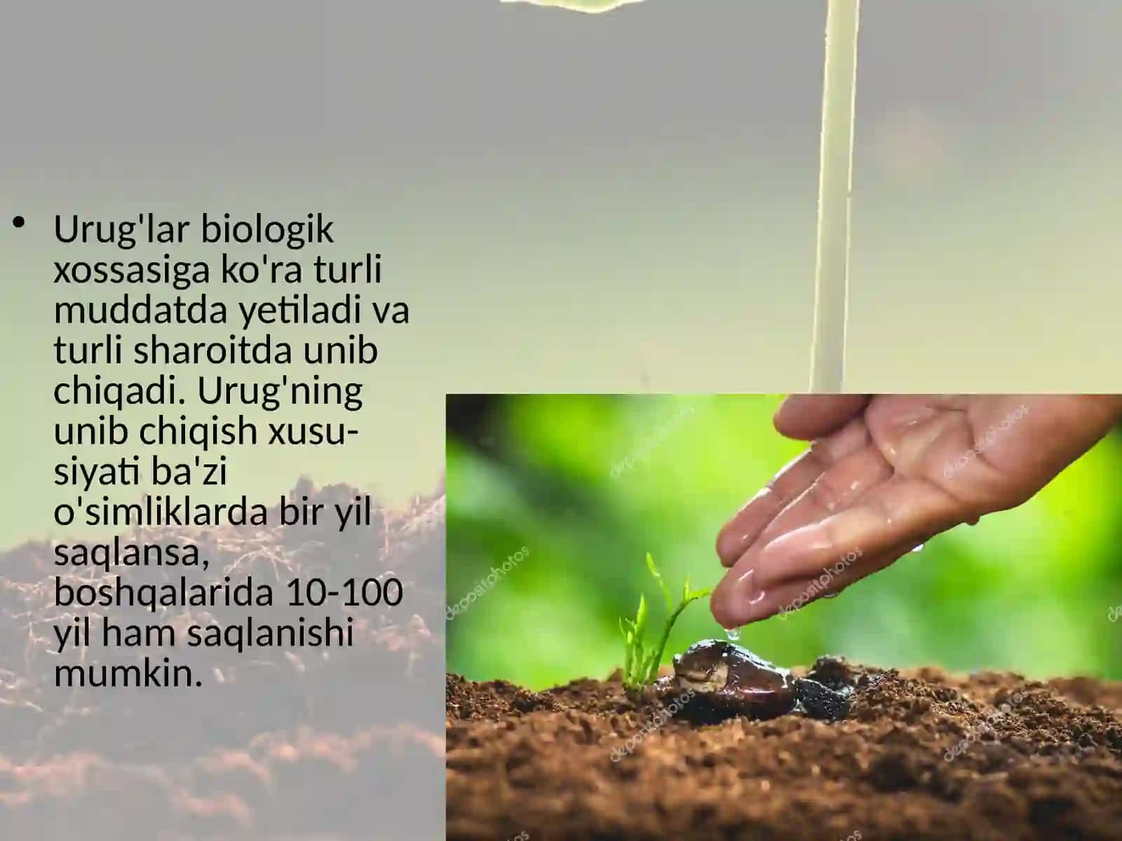 URUG'LARNINGUNIB CHIQISHI 3
