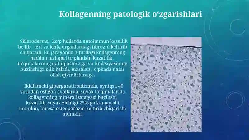 Kollagen tolalarning ultrastrukturasi gistokimyosi tiplari 3