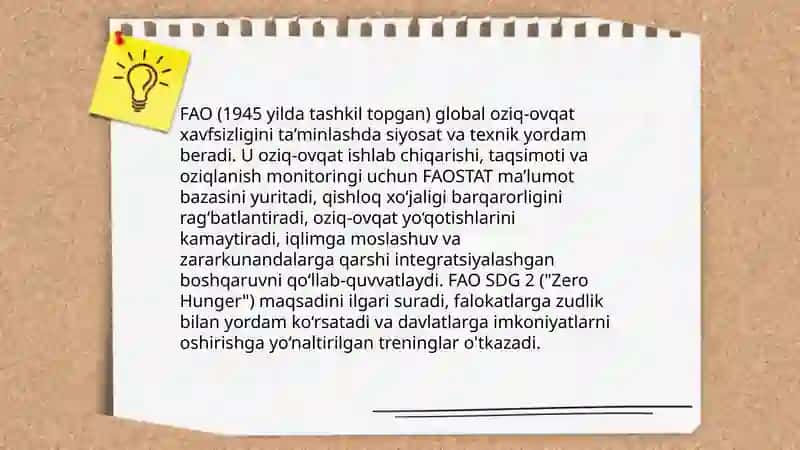 Xalqaro tashkilotlarning global oziq ovqat xavfsizligidagi roli 3