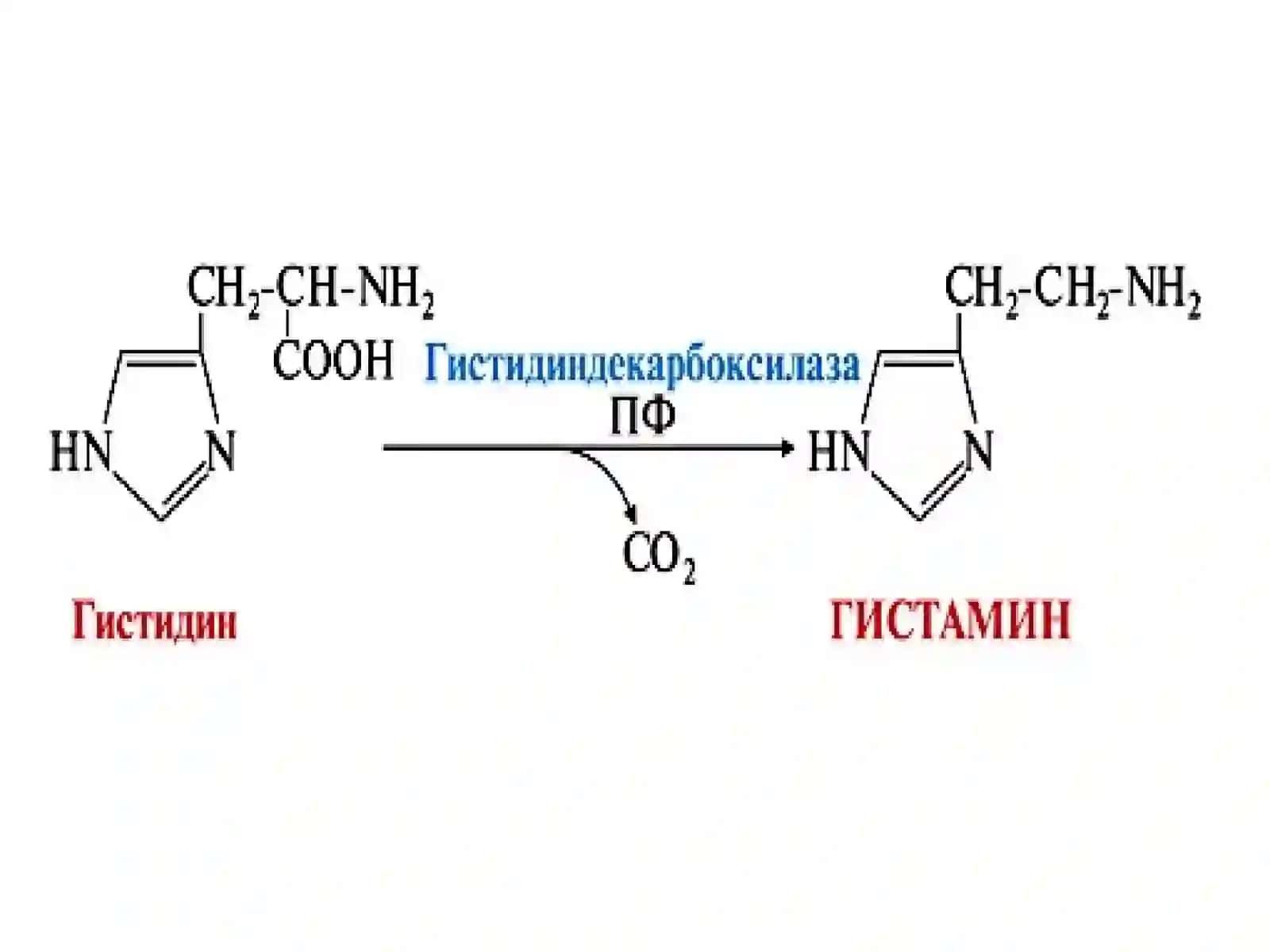 Antigistamin preparatlari 3