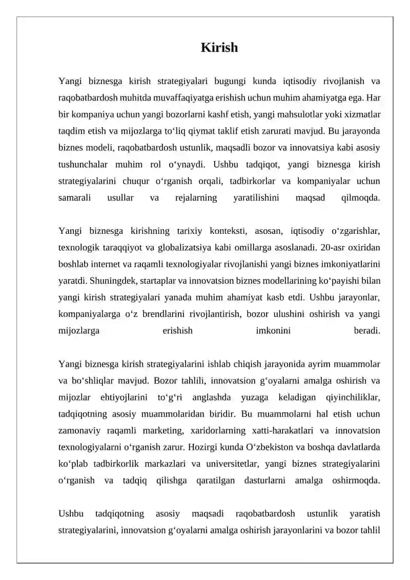 Yangi biznesga kirish strategiyalari 3