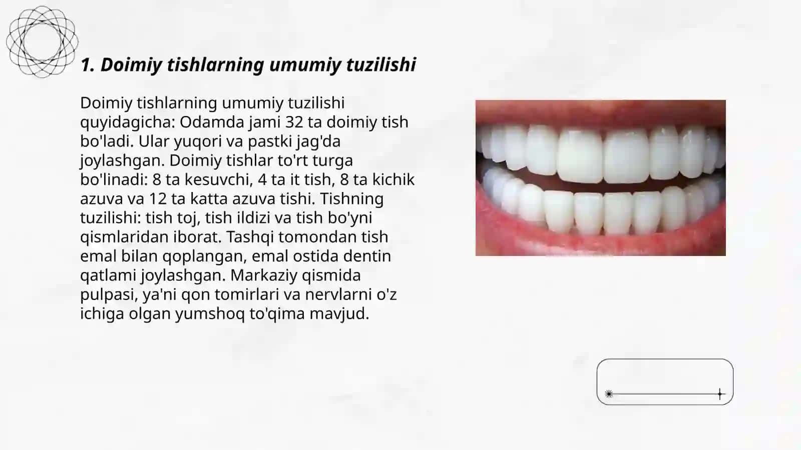 Doimiy tishlovdagi frontal guruh tishlarining tuzilishi 3