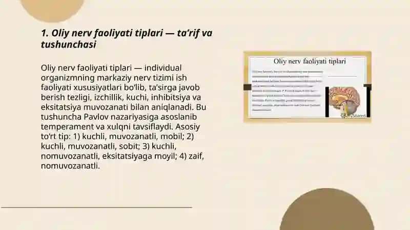 Oliy nerv faoliyati tiplari 3