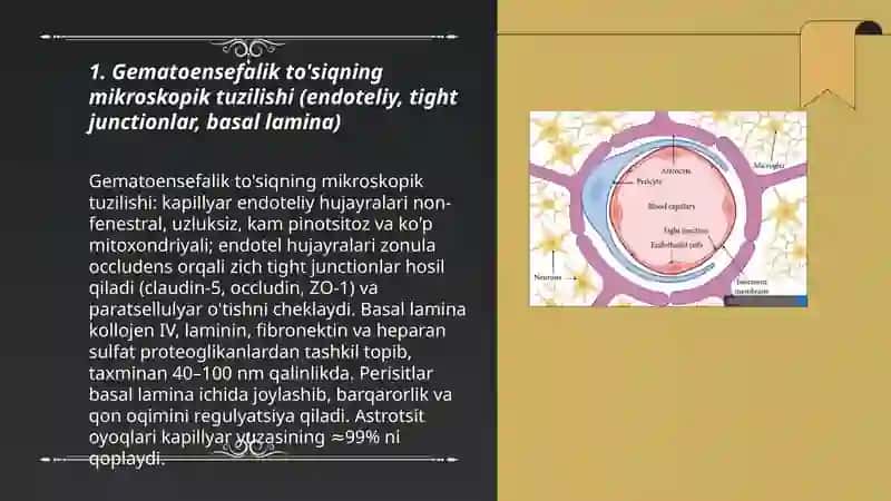 Gematoensefalik to'siq gistofiziologiyasi 3
