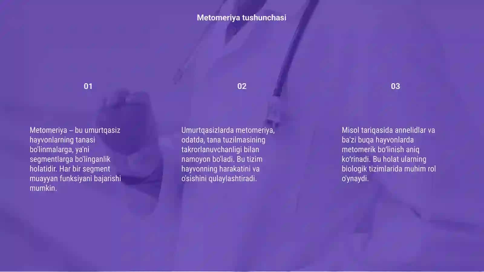 Umurtqasiz hayvonlarda metomeriya mohiyati 3