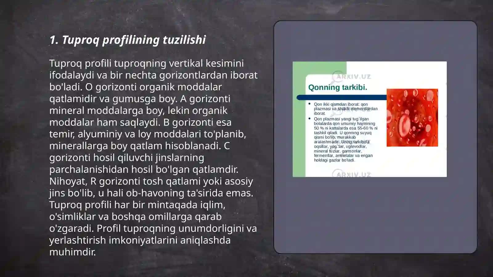 Tuproq profilining shakllanishi va morfologik belgilari 3