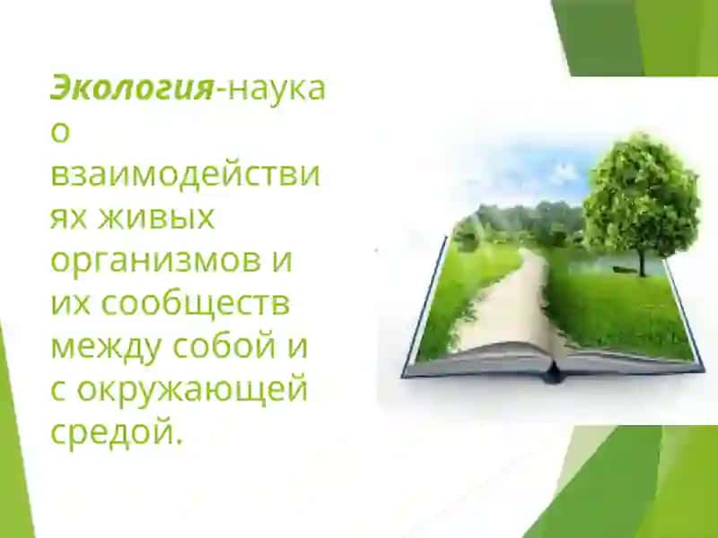 Охрана природы-забота всех землян 3