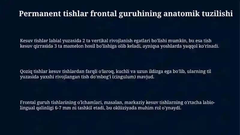 Doimiy tishlovdagi frontal guruh tishlarning tuzilishi 3