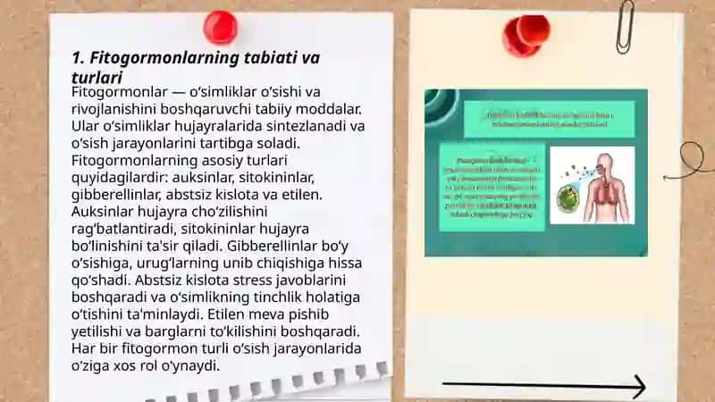Fitogarmonlar va fitorigulyatorlar olishning biyotexlonogig usullari 3