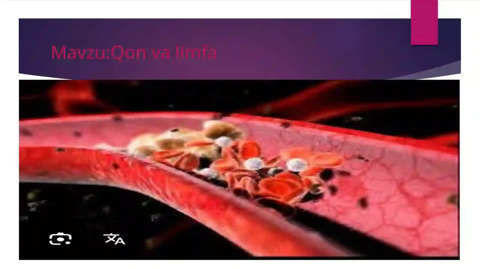 Qon va limfa.Qon hujayralari. 3