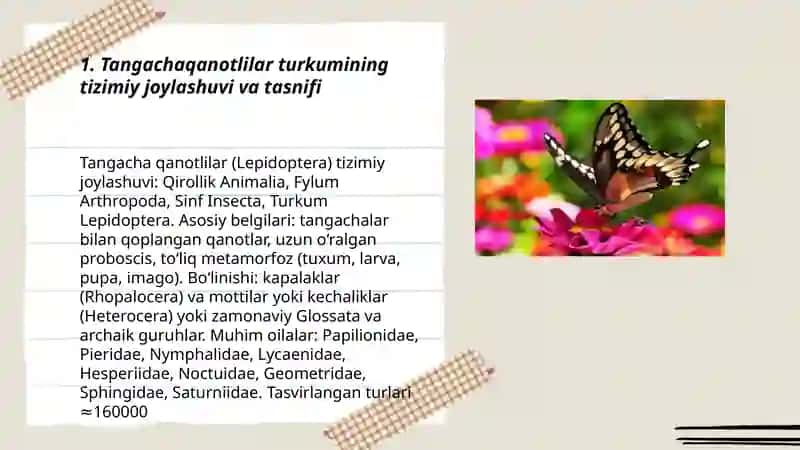 Tangachaqanotlilar turkumi,vakillari va ahamiyati 3