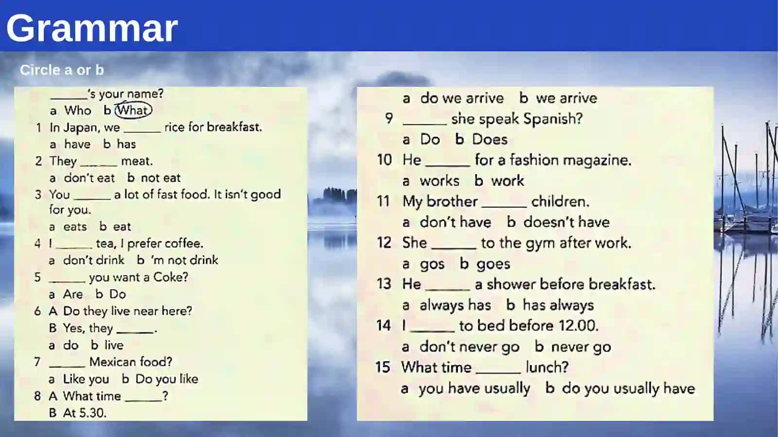 Revise and check Lesson Plan Grammar 3