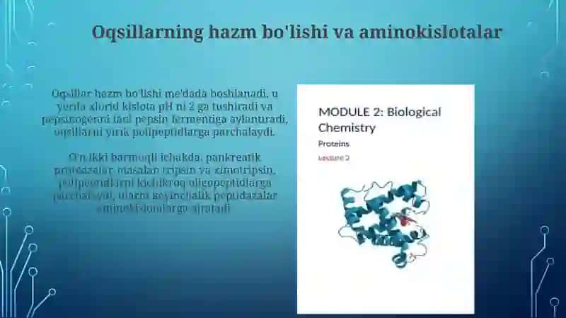 Oqsilning biokimyoviy ozgarishi 3