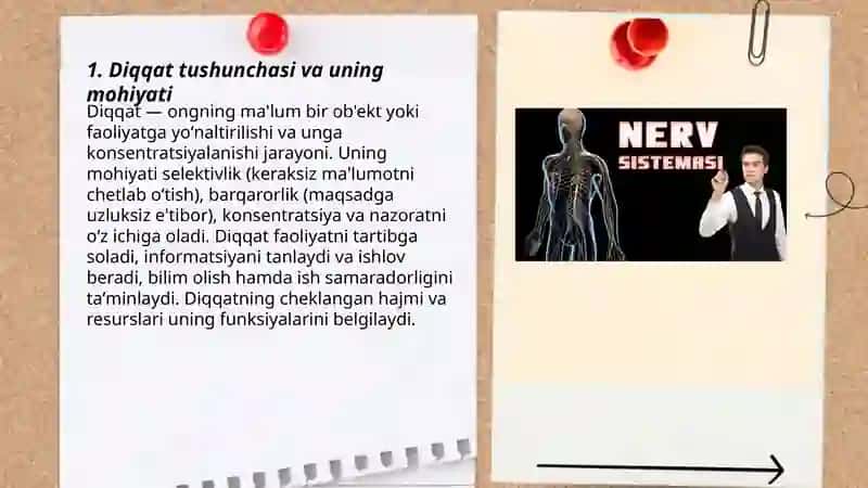 Diqqat tushunchasi va uning mohiyati 3