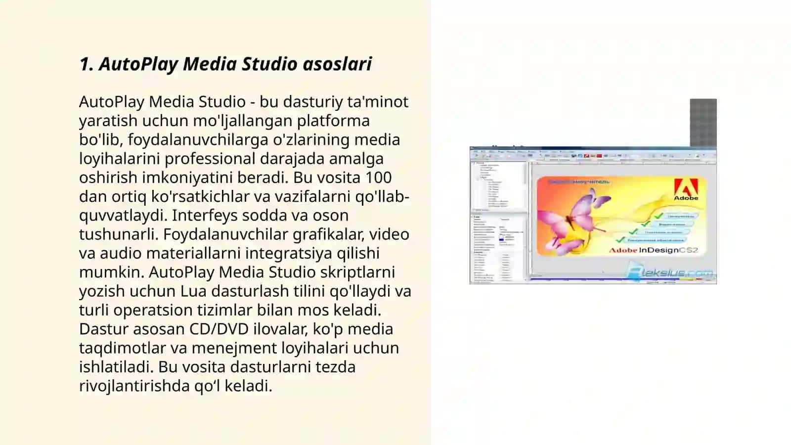 AutoPlay Media Studio 3