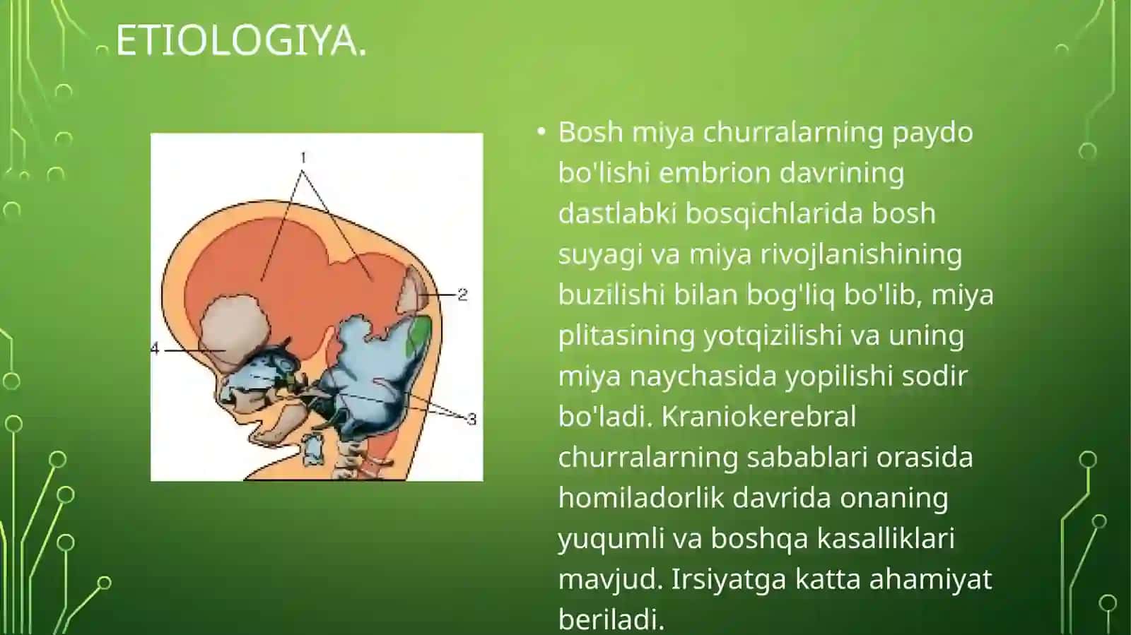 TUG'MA NUQSONLAR. BOLALARDA MIYA CHURRASI VA YURAK NUQSONLARI 3