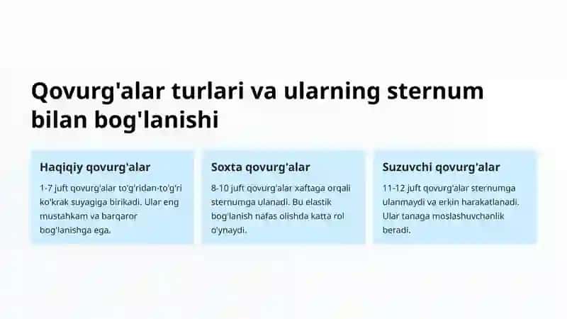 Ko'krak qafasi: Qovurg'alar va Ko'krak suyagi 3