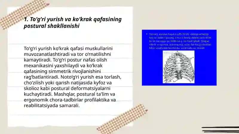 Toʻgʻri yurish bilan bogʻliq holda inson koʻkrak qafasi shaklining oʻzgarishi 3