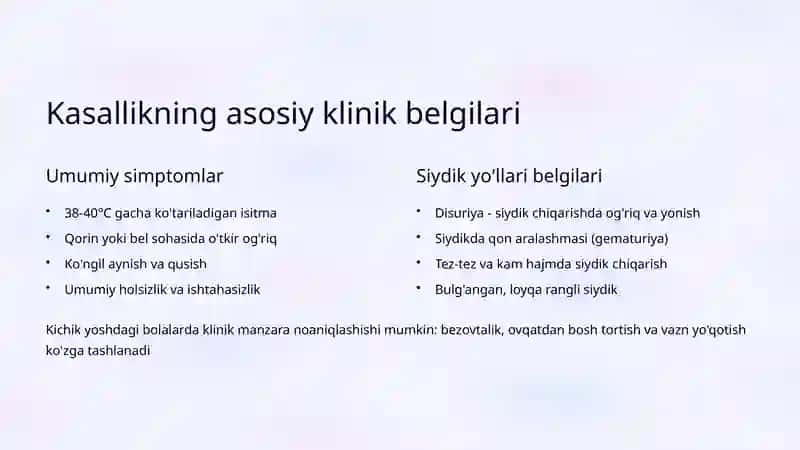 Buyrak infeksiyalarining zamonaviy tashxislash va davolash prinsiplariga umumiy qarash 3