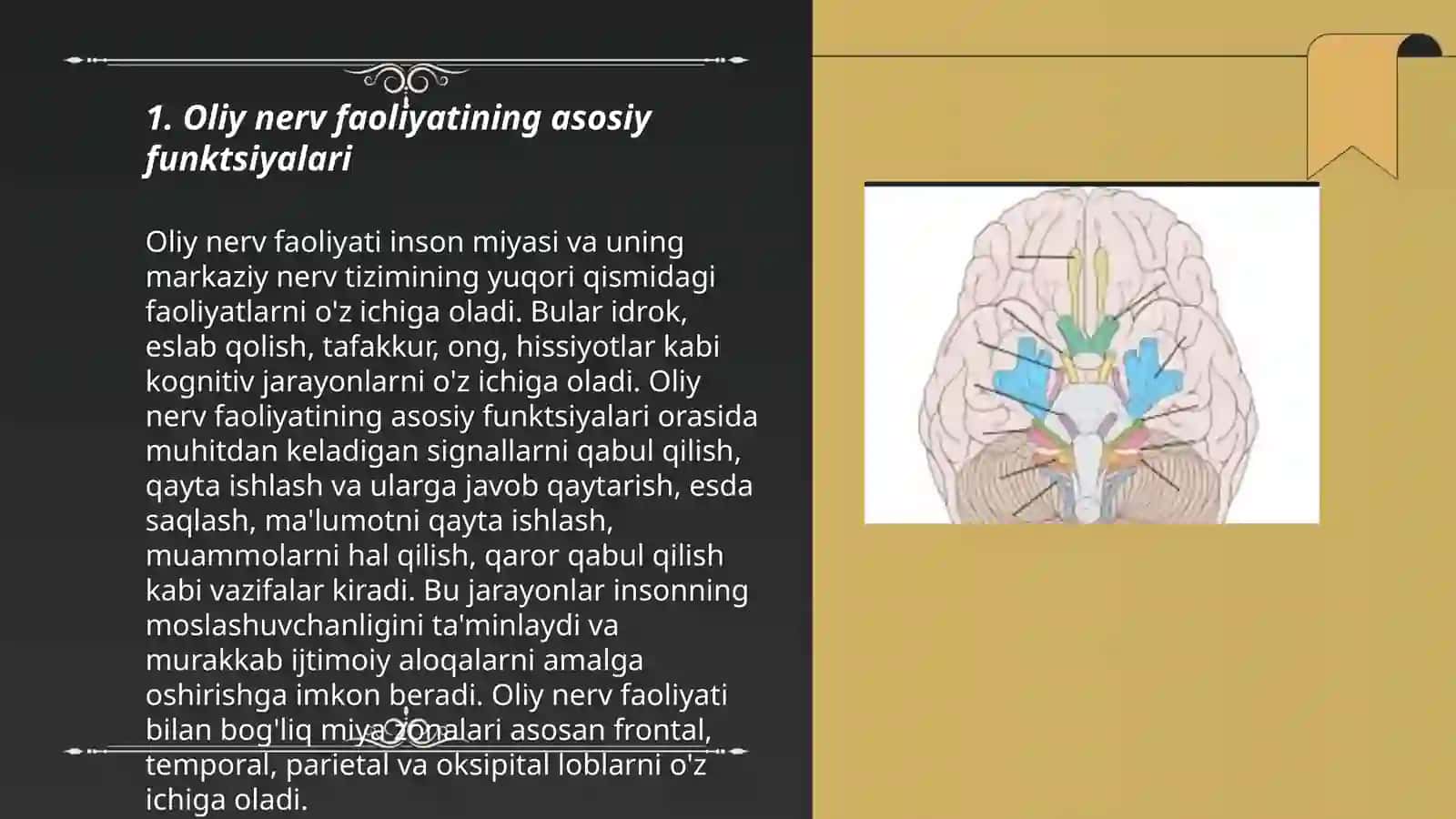 Oliy nerv faoliyatini buzilishi oʻrta miya va miyachani buzilishi 3