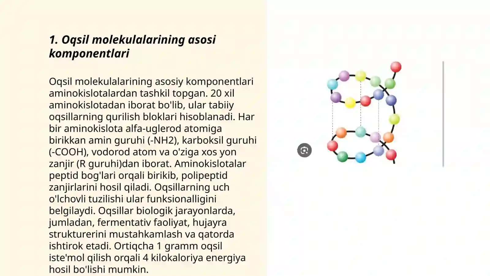 Oqsillar tarkibi va tuzilishi 3