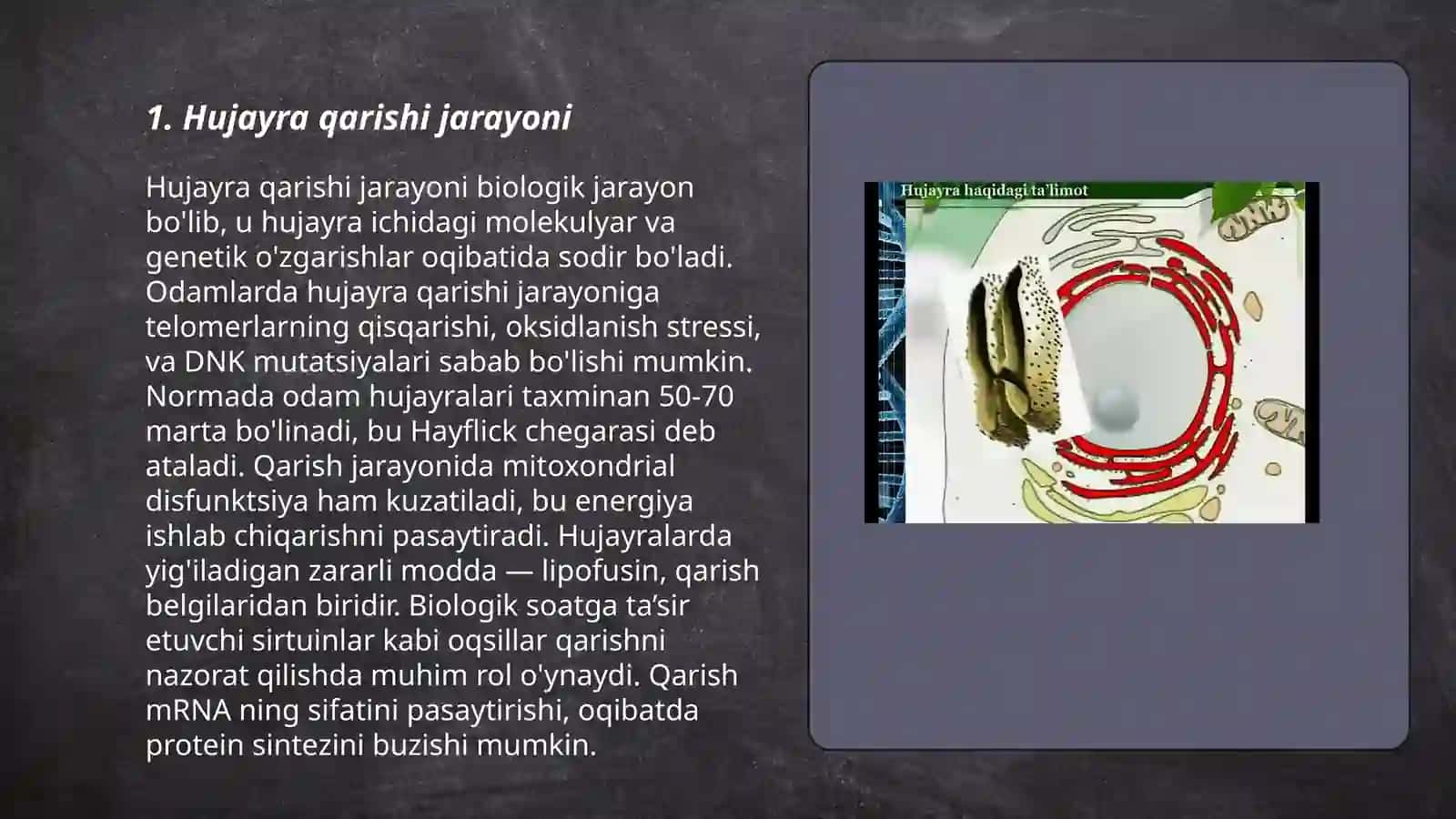 Organizmdagi keksayish davriga xos òzgarishlar 3