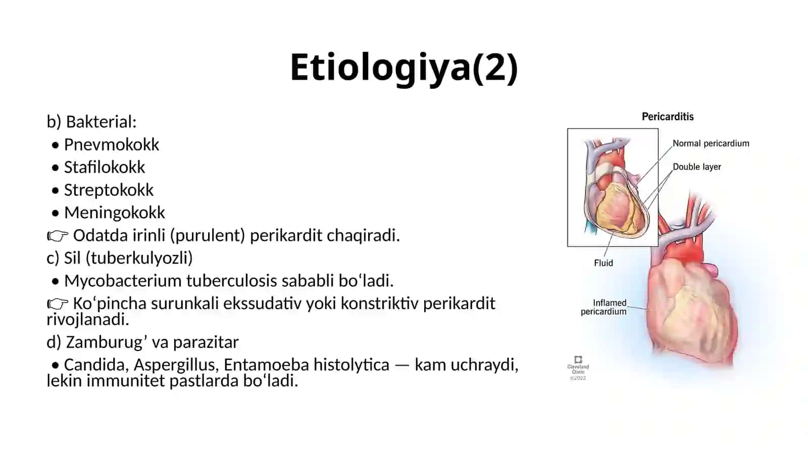 Perikarditlar 3