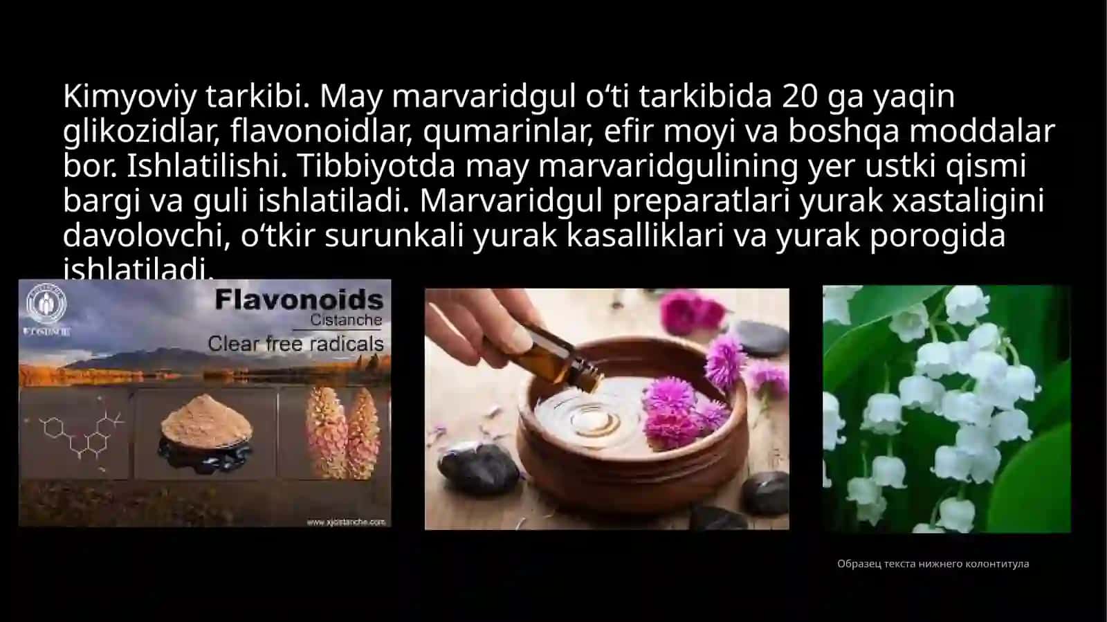 Marvaridgulning dorivorligi va yetishtirish texnologiyasi 3