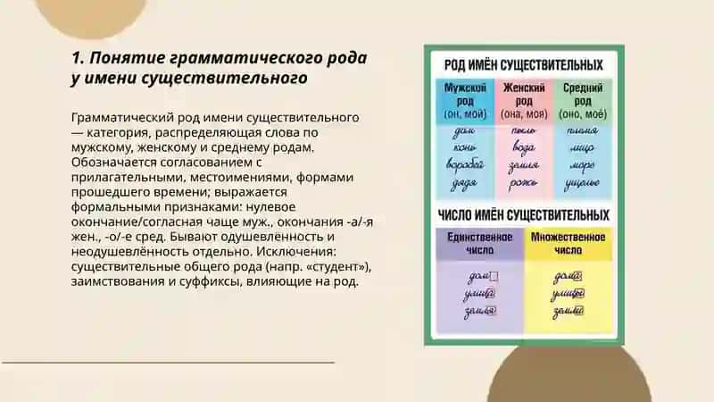 Грамматический род у имени существительного 3