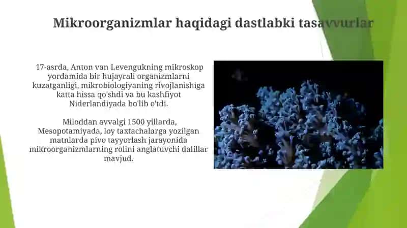 Mikrobiologiyaning paydo bulishi va rivojlanishi 3