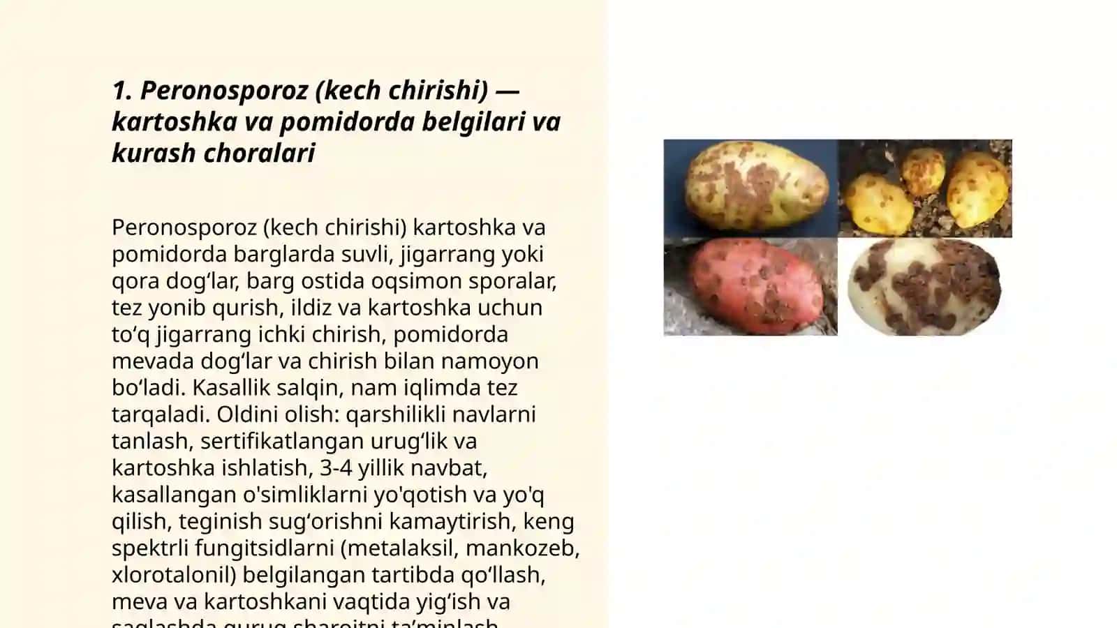 Kartoshka va pomidorning asosiy kasalliklari va ularga qarshi kurash choralari 3