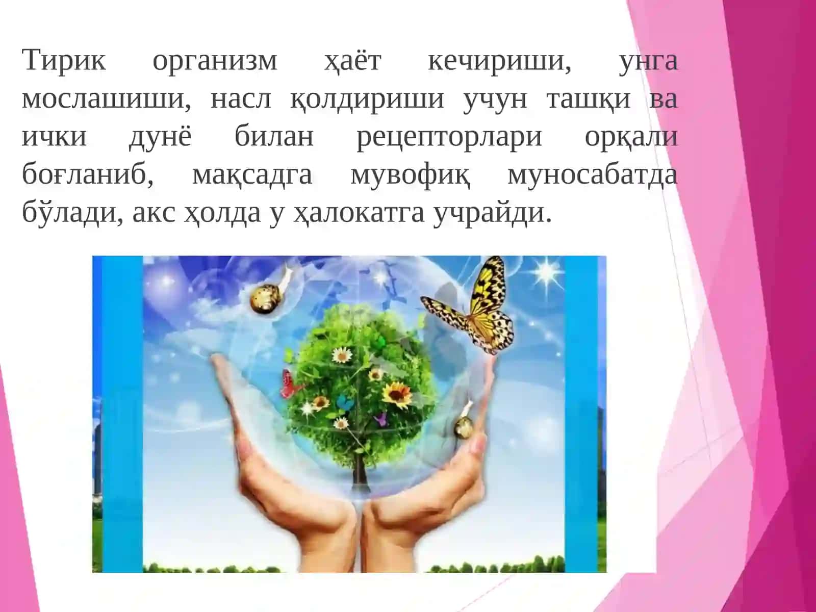 Физиология модуль дастуриМаъруза-5 3